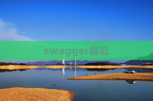 swagger截取